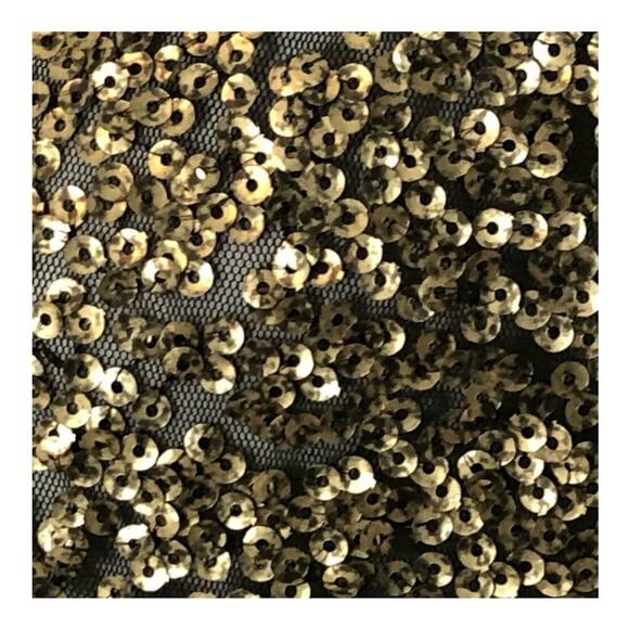 Silence + Noise Gold Sequin & Mesh Short Sleeve Party Blouse Size Small - Picture 9 of 16